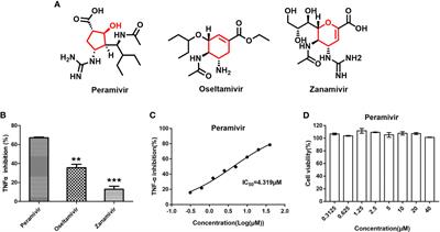 Peramivir, an Anti-Influenza Virus Drug, Exhibits Potential Anti-Cytokine Storm Effects